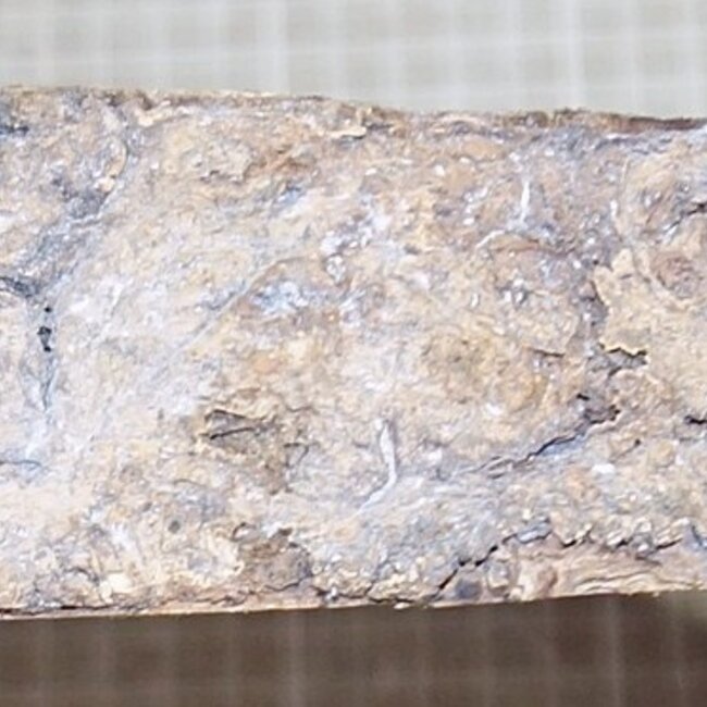 Amboina Maser, ca. 345 x 295 x 40-50mm, 2,5kg