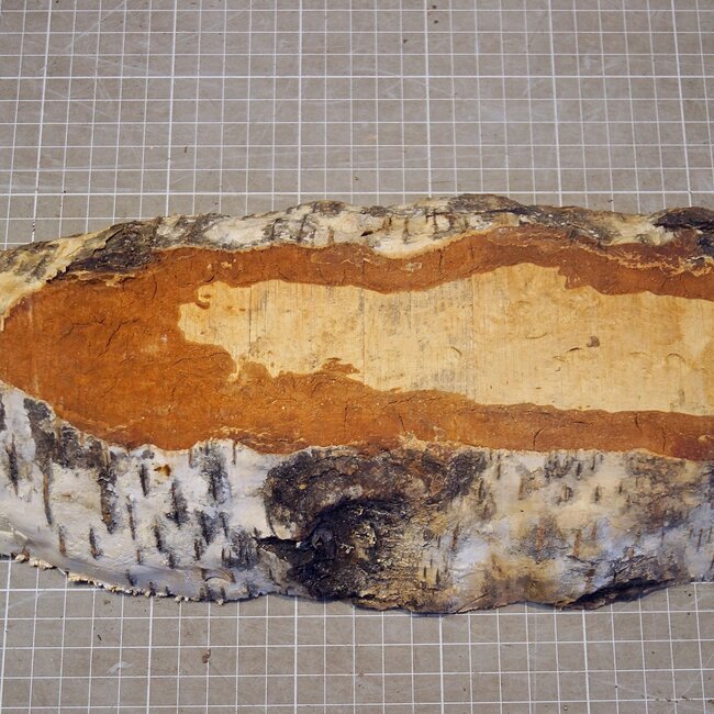 Birch burl, approx. 285 x 145 x 46mm, 1,17kg