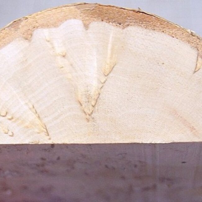 Birch burl, approx. 285 x 145 x 46mm, 1,17kg