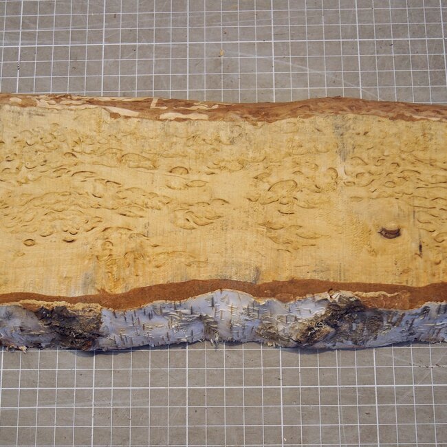 Birch burl, approx. 256 x 135 x 39mm, 0,99kg