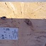 Birch burl, approx. 256 x 135 x 39mm, 0,99kg