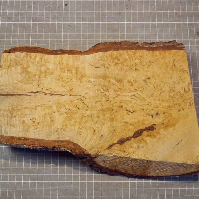 Birch burl, approx. 272 x 120-180 x 42mm, 1,46kg