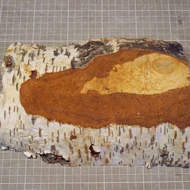 Birch burl, approx. 240 x 180 x 44mm, 1,06kg