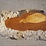 Birch burl, approx. 240 x 180 x 44mm, 1,06kg