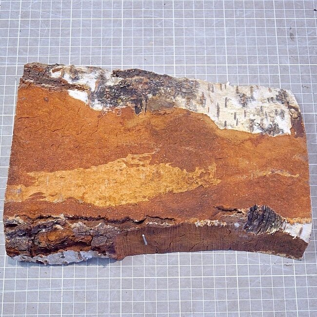 Birch burl, approx. 248 x 160-185 x 43mm, 1,2kg