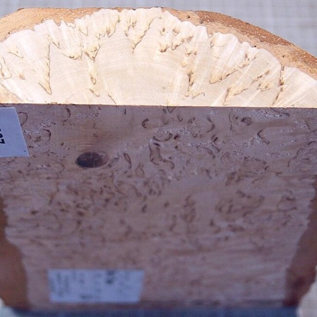 Birch burl, approx. 248 x 160-185 x 43mm, 1,2kg