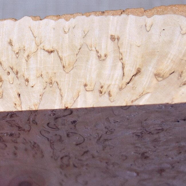 Birch burl, approx. 256-275 x 180 x 47mm, 1,44kg