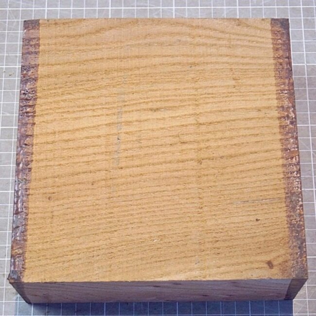 Caucasian Elm, approx. 185 x 185 x 70mm, 1,45kg