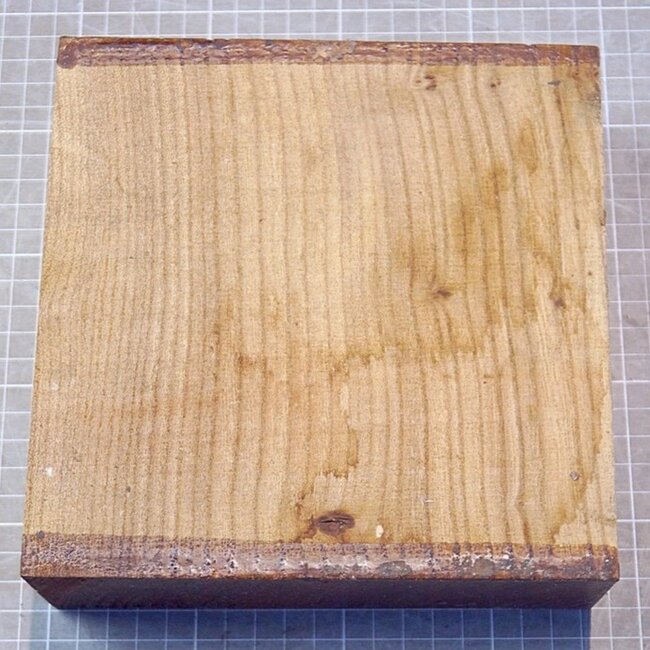 Kaukasische Rüster, ca. 182 x 185 x 60mm, 1,17kg