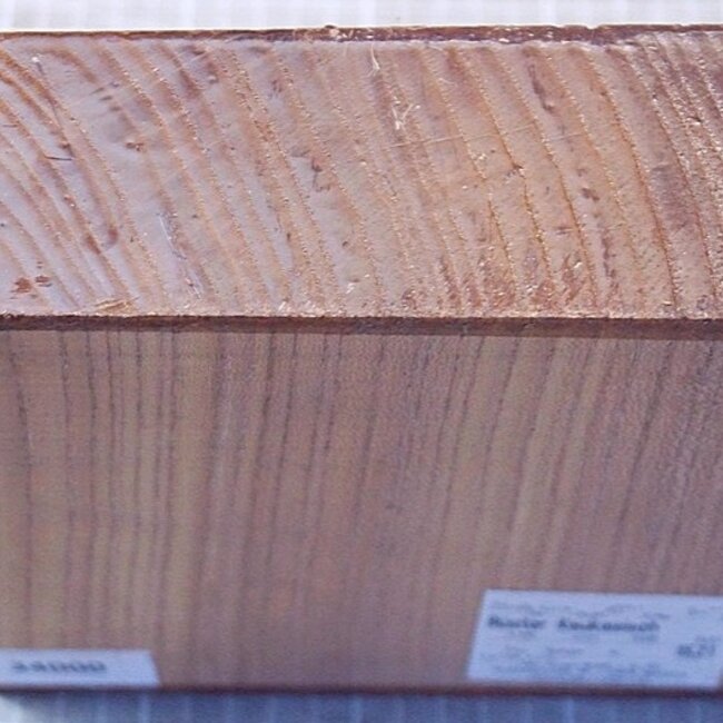 Kaukasische Rüster, ca. 182 x 185 x 60mm, 1,17kg