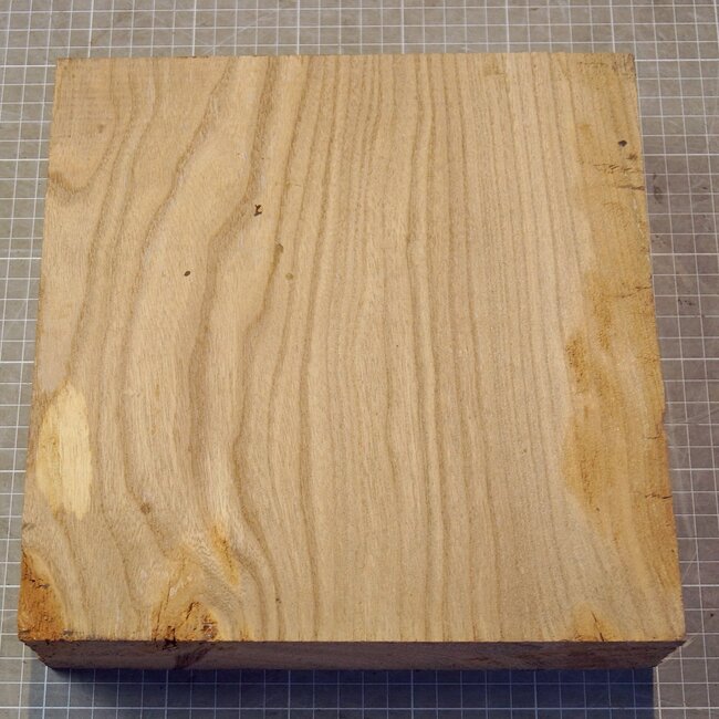 Caucasian Elm, approx. 247 x 245 x 71mm, 2,1kg