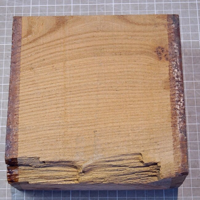 Caucasian Elm, approx. 173 x 173 x 68mm, 1,24kg