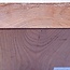 Kaukasische Rüster, ca. 232 x 235 x 71mm, 2,26kg
