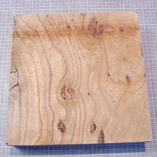 Caucasian Elm, approx. 310 x 350 x 63mm, 3,34kg