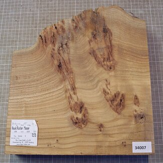 Caucasian Elm, approx. 340 x 200-337 x 60mm, 3,3kg