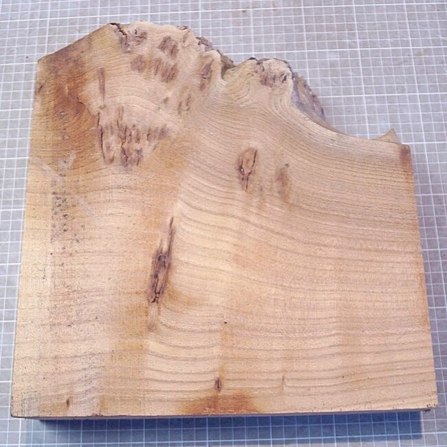 Kaukasische Rüster Maser, ca. 340 x 200-337 x 60mm, 3,3kg
