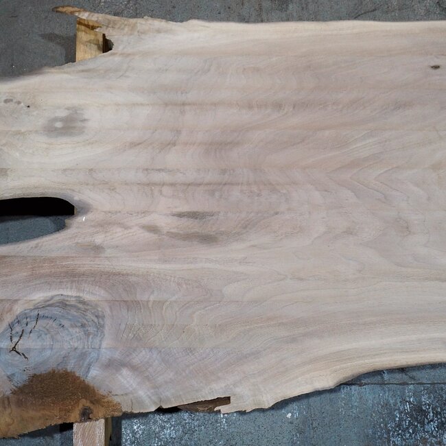 Caucasian Walnut, table top, approx. 2400 x 630 x 50 mm, 13751