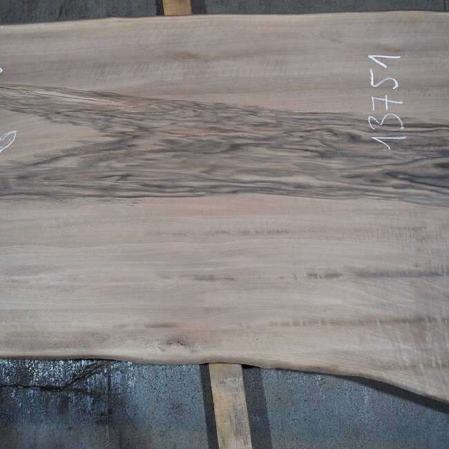 Caucasian Walnut, table top, approx. 2400 x 630 x 50 mm, 13751