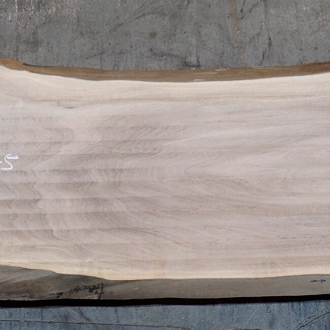 Caucasian Walnut, table top, approx. 2400 x 630 x 50 mm, 13751