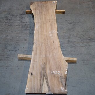 Kaukasischer Nussbaum, Tischplatte, ca. 2300 x 460 x 55 mm, 13752