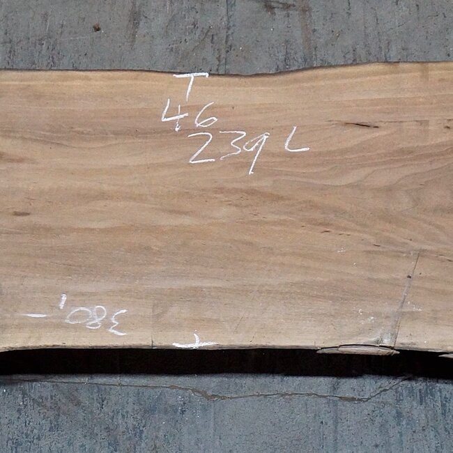 Caucasian Walnut, table top, approx. 2300 x 460 x 55 mm, 13752