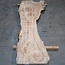 Caucasian Elm, burl, board, approx. 2000 x 670 x 50 mm, 13759