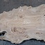 Caucasian Elm, burl, board, approx. 1900 x 840 x 50 mm, 13760