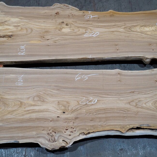 Caucasian Elm pair, burl, board, approx. 2200 x 630/640 x 48 mm, 13761 a+b