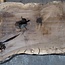 Kaukasischer Nussbaum, Tischplatte, ca. 1370(1100) x 860/480 x 45 mm, 13770
