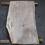 Birke, ca. 1100 x 640/560 x 40 mm, 13771
