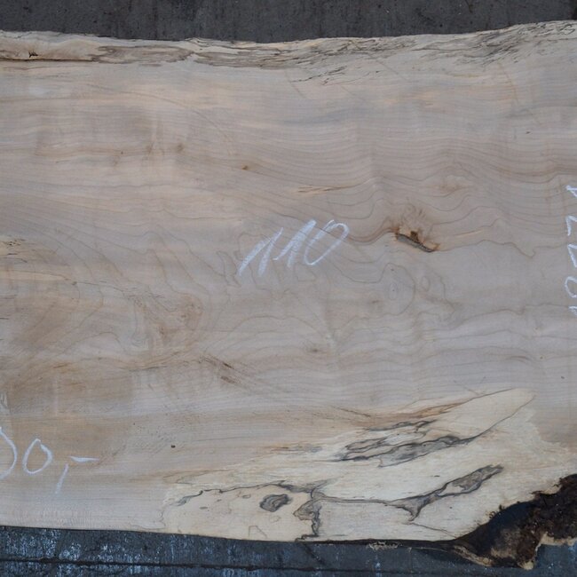 Birke, ca. 1100 x 640/560 x 40 mm, 13771