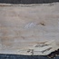 Birke, ca. 1100 x 640/560 x 40 mm, 13771