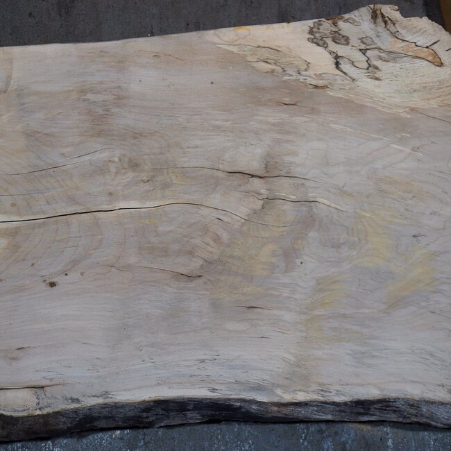 Birke, ca. 1100 x 640/560 x 40 mm, 13771