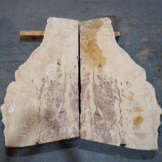 Ash burl pair, approx. 1270(1100) x 650/650 x 50 mm, 13778 a+b