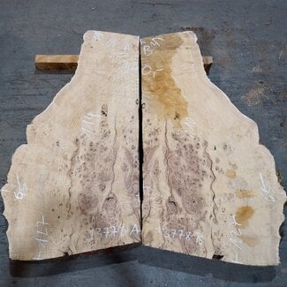 Esche Maser, Paar, ca. 1270(1100) x 650/650 x 50 mm, 13778 a+b
