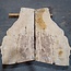 Esche Maser, Paar, ca. 1270(1100) x 650/650 x 50 mm, 13778 a+b