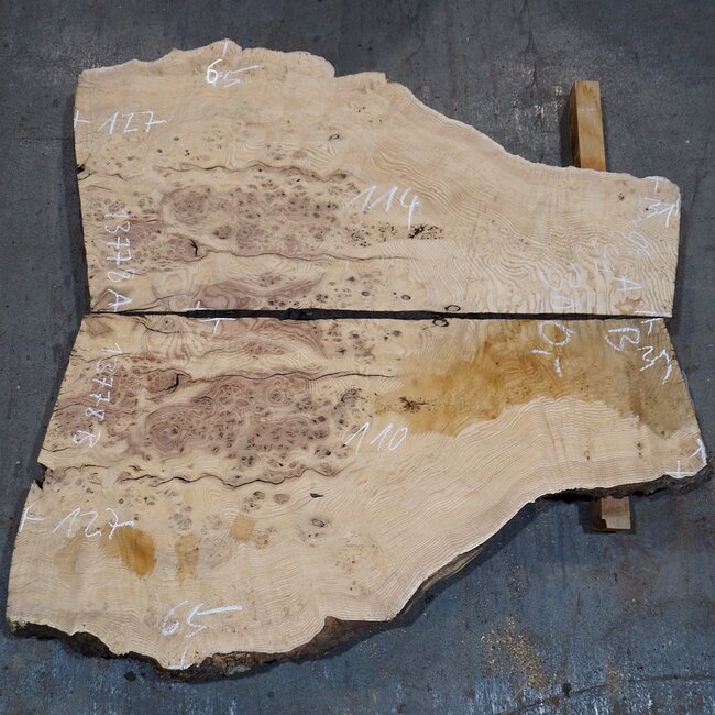 Esche Maser, Paar, ca. 1270(1100) x 650/650 x 50 mm, 13778 a+b