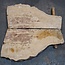 Esche Maser, Paar, ca. 1270(1100) x 650/650 x 50 mm, 13778 a+b
