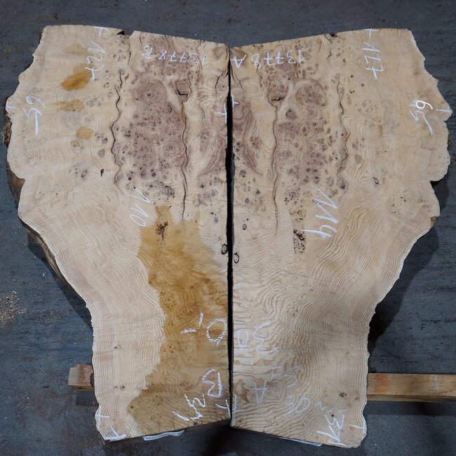 Esche Maser, Paar, ca. 1270(1100) x 650/650 x 50 mm, 13778 a+b