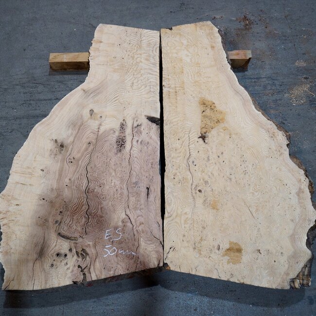 Esche Maser, Paar, ca. 1270(1100) x 650/650 x 50 mm, 13778 a+b