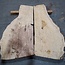 Esche Maser, Paar, ca. 1270(1100) x 650/650 x 50 mm, 13778 a+b