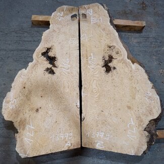 Esche Maser, Paar, ca. 1270(1160) x 550/560 x 48 mm, 13779 a+b