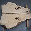 Esche Maser, Paar, ca. 1270(1160) x 550/560 x 48 mm, 13779 a+b