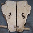 Esche Maser, Paar, ca. 1270(1160) x 550/560 x 48 mm, 13779 a+b