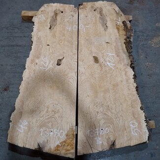 Esche Maser, Paar, ca. 1260/1210 x 460/500 x 50 mm, 13780 a+b