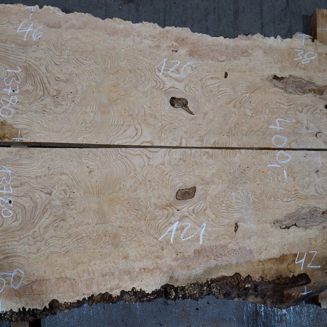 Esche Maser, Paar, ca. 1260/1210 x 460/500 x 50 mm, 13780 a+b