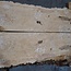 Esche Maser, Paar, ca. 1260/1210 x 460/500 x 50 mm, 13780 a+b