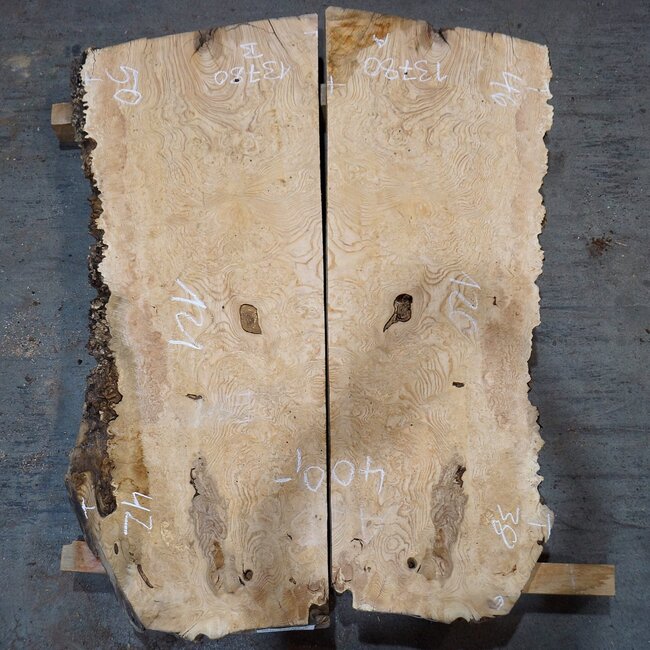 Esche Maser, Paar, ca. 1260/1210 x 460/500 x 50 mm, 13780 a+b