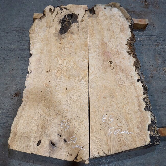 Esche Maser, Paar, ca. 1260/1210 x 460/500 x 50 mm, 13780 a+b