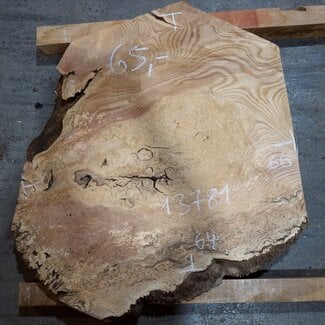 Esche Maser, ca. 660 x 640 x 50 mm, 13781